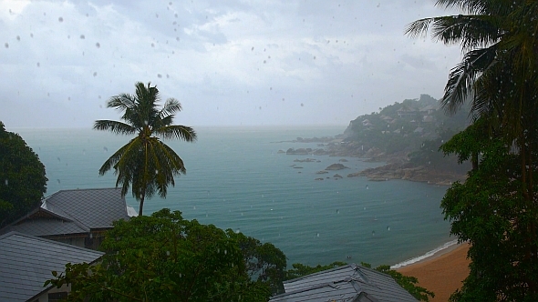 Tropical Rain Seascape Tropical Rain Seascape