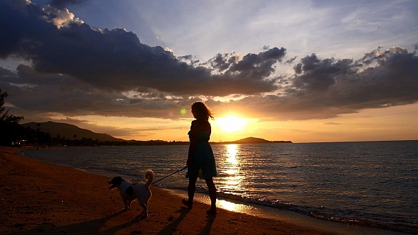 Woman Walking with Dog on Sunset Beach Woman Walking with Dog on Sunset Beach