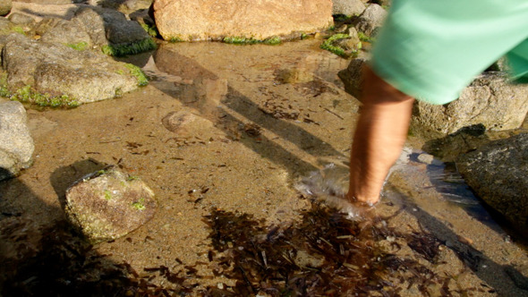 Walk Through the Seashore Splashing Water Walk Through the Seashore Splashing Water