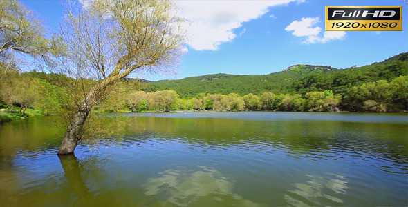 Green Lake Green Lake