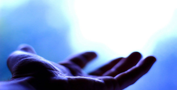 The Light and the Hand The Light and the Hand