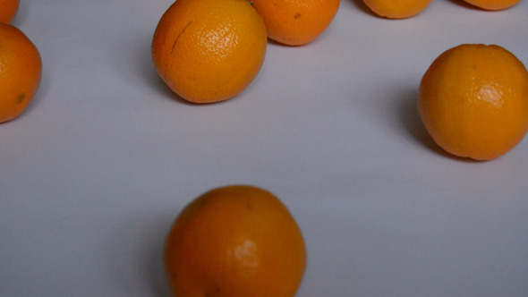 Oranges Roll on White Background Oranges Roll on White Background