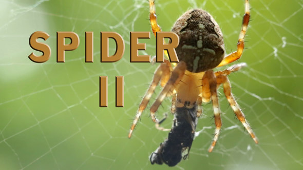Spider Pack 2 Spider Pack 2