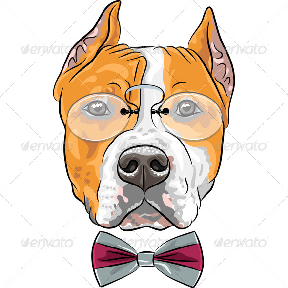 GraphicRiver Hipster American Staffordshire 8638838 GraphicRiver Hipster American Staffordshire 8638838
