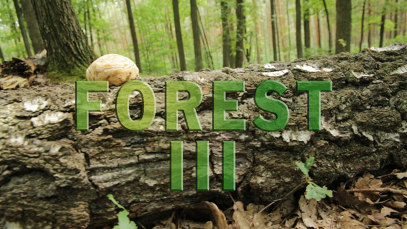 Forest Pack 3 Forest Pack 3