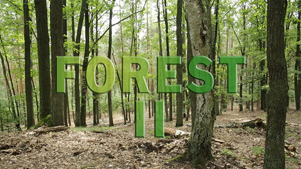 Forest Pack 2 Forest Pack 2