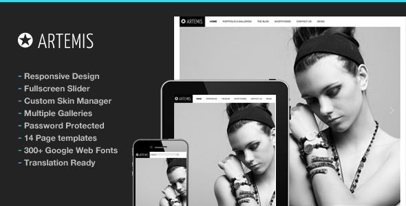 Artemis Photography Gallery Portfolio Theme Artemis Photography Gallery Portfolio Theme