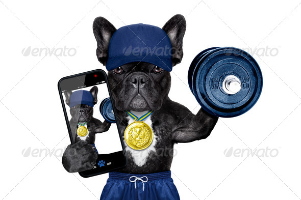 dog sport selfie (Misc) Photo Download