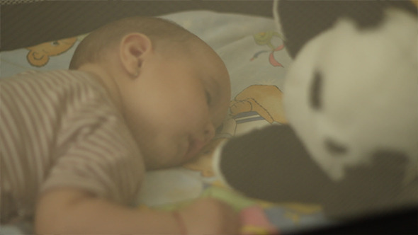 Peacefully Sleeping Baby Peacefully Sleeping Baby