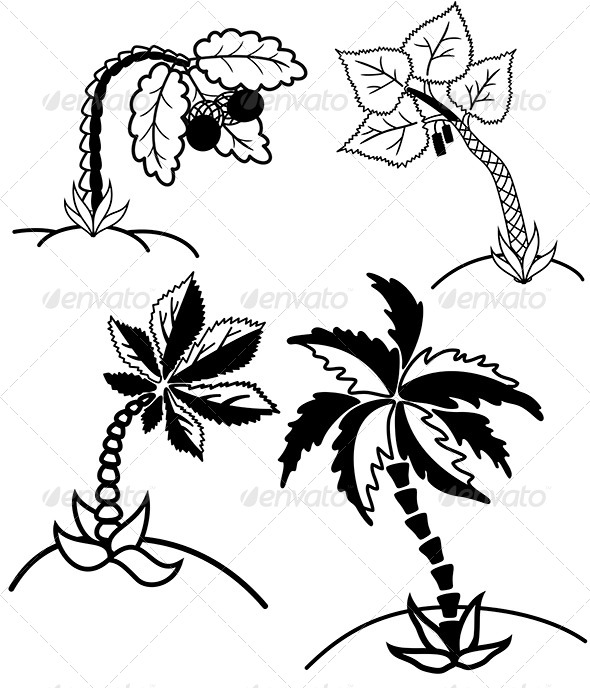 GraphicRiver Palm Trees Collection 8645416 GraphicRiver Palm Trees Collection 8645416