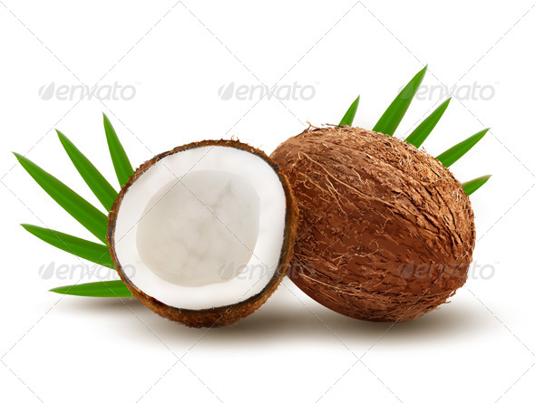 download coconut brush photoshop