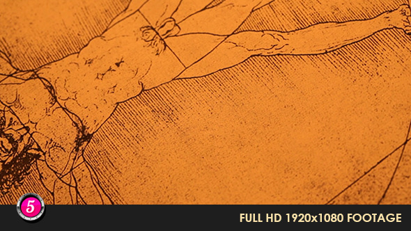 Anatomy Drawings 22 Anatomy Drawings 22