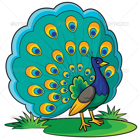 GraphicRiver Peacock Cartoon 8716945 GraphicRiver Peacock Cartoon 8716945