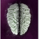 nadjaporsch