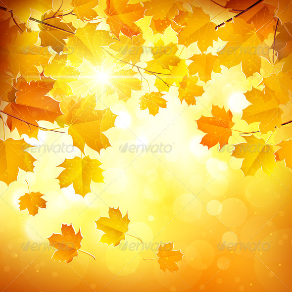 GraphicRiver Autumn Leaves 8721759 GraphicRiver Autumn Leaves 8721759