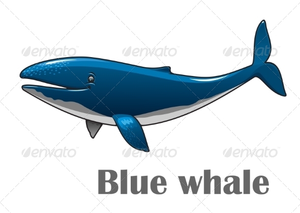 GraphicRiver Cartoon Blue Whale 8724680 GraphicRiver Cartoon Blue Whale 8724680