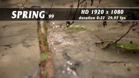 Spring 99 Spring 99