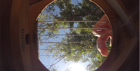 Acoustic Guitar From Inside Acoustic Guitar From Inside