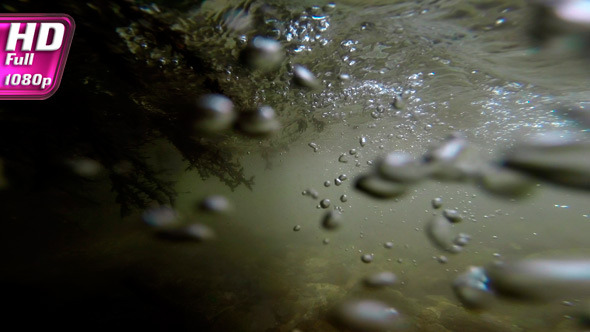 Simulating the Vision of Fish Simulating the Vision of Fish