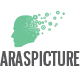Araspicture