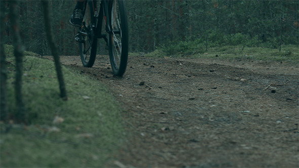 Man Riding a Bike in Dark Forest Man Riding a Bike in Dark Forest