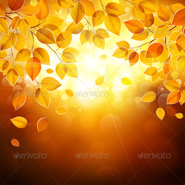 GraphicRiver Autumn Leaves 8745836 GraphicRiver Autumn Leaves 8745836