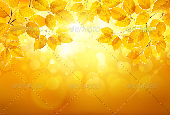 GraphicRiver Autumn Leaves 8721767 GraphicRiver Autumn Leaves 8721767