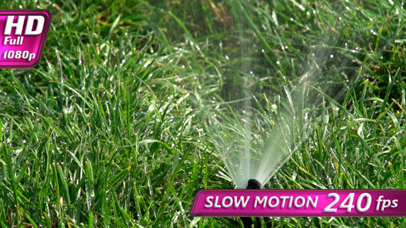 Watering the Lawn Watering the Lawn
