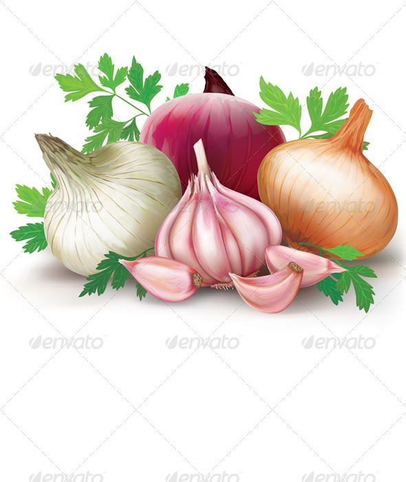 GraphicRiver Onions and Garlic 8752487 GraphicRiver Onions and Garlic 8752487