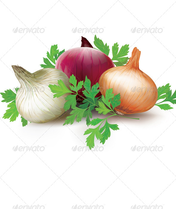GraphicRiver Onions of Different Colors and Parsley 8752534 GraphicRiver Onions of Different Colors and Parsley 8752534