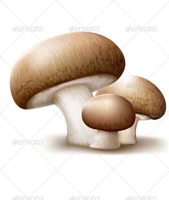 GraphicRiver Champignons Mushrooms 8752610 GraphicRiver Champignons Mushrooms 8752610