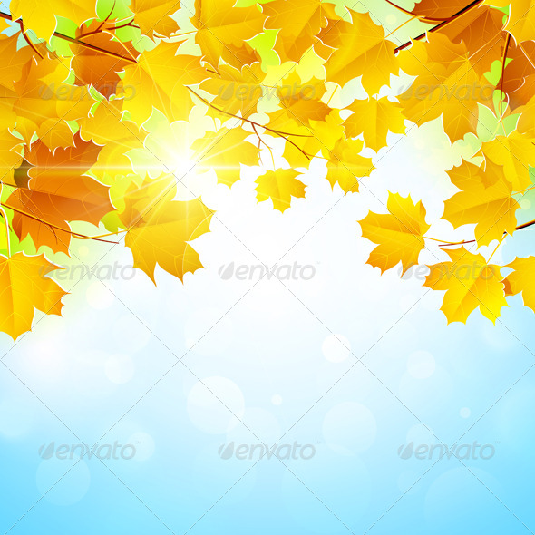 GraphicRiver Autumn Leaves Background 8753236 GraphicRiver Autumn Leaves Background 8753236