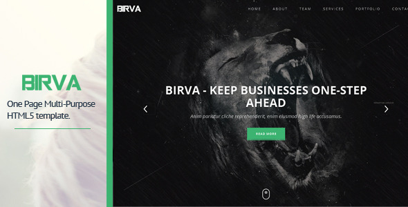 BIRVA - Responsive Portfolio Template
