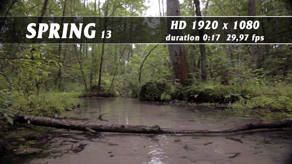 Spring 13 Spring 13