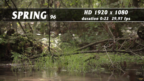 Spring 96 Spring 96