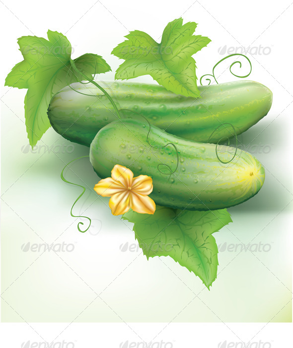 GraphicRiver Cucumbers 8762262 GraphicRiver Cucumbers 8762262