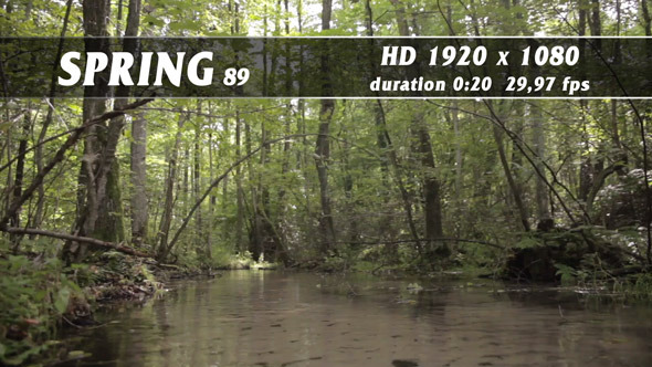 Spring 89 Spring 89