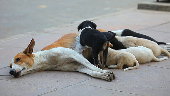 Motherhood Motherhood