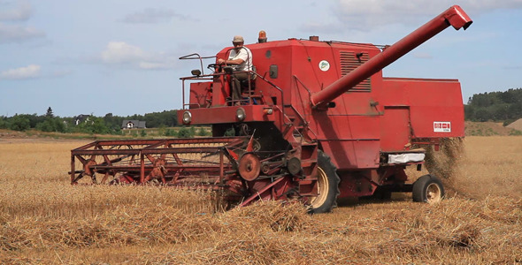 Combine Harvester on a Wheat Field 3 pack Combine Harvester on a Wheat Field 3 pack
