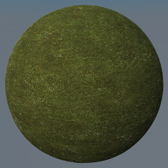 3DOcean Grass Landscape Shader 002 8771410 3DOcean Grass Landscape Shader 002 8771410
