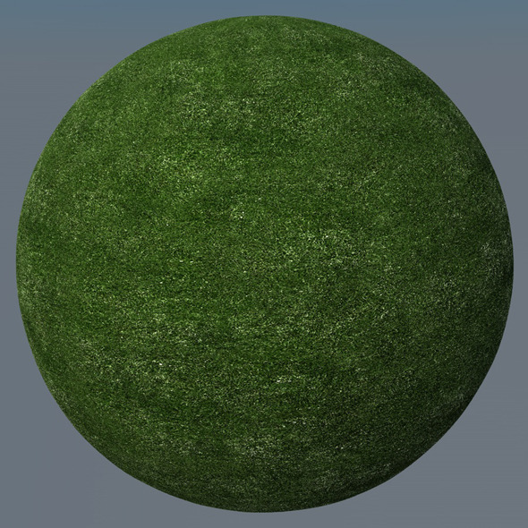 3DOcean Grass Landscape Shader 004 8771920 3DOcean Grass Landscape Shader 004 8771920