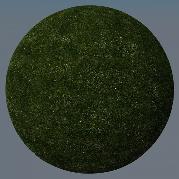 3DOcean Grass Landscape Shader 005 8772254 3DOcean Grass Landscape Shader 005 8772254
