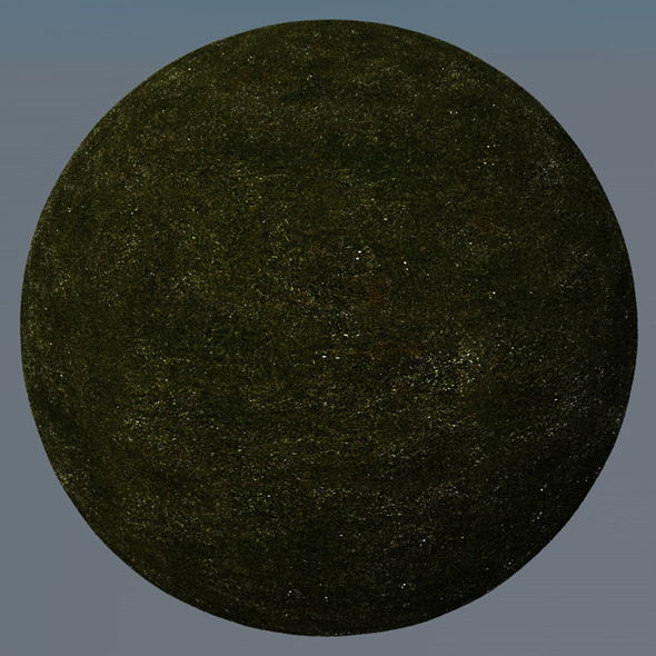 3DOcean Grass Landscape Shader 006 8772804 3DOcean Grass Landscape Shader 006 8772804