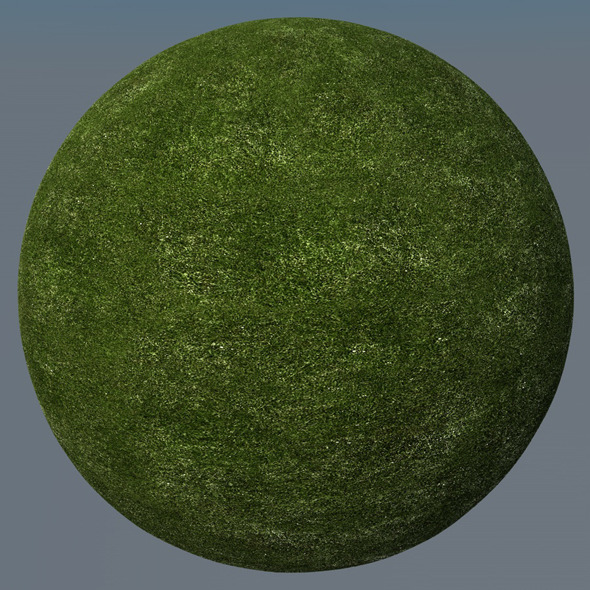 3DOcean Grass Landscape Shader 007 8773114 3DOcean Grass Landscape Shader 007 8773114