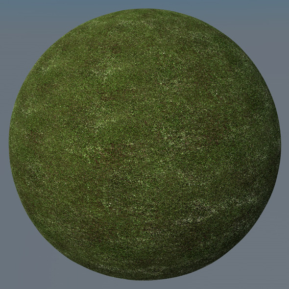 3DOcean Grass Landscape Shader 009 8773719 3DOcean Grass Landscape Shader 009 8773719