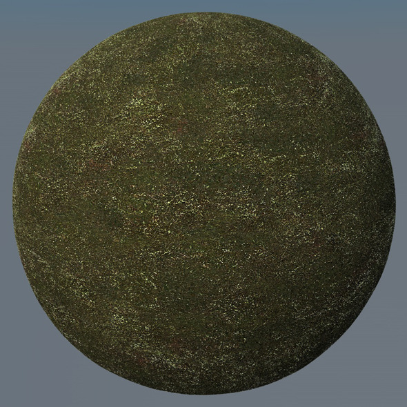 3DOcean Grass Landscape Shader 013 8778200 3DOcean Grass Landscape Shader 013 8778200