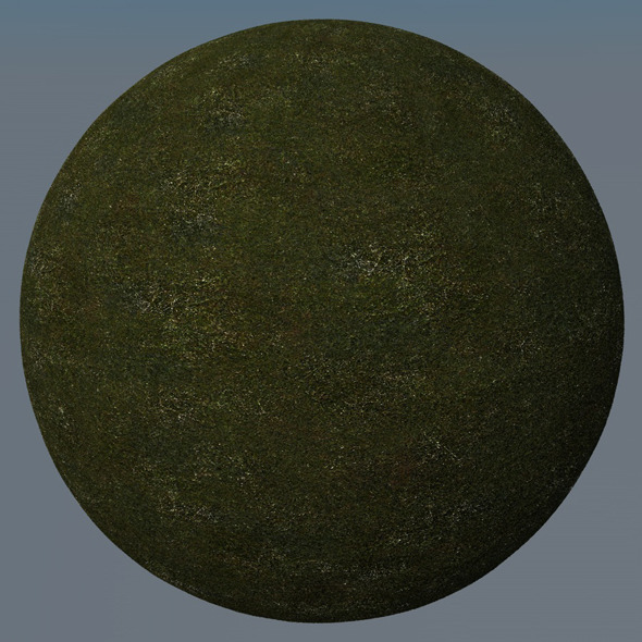 3DOcean Grass Landscape Shader 015 8779369 3DOcean Grass Landscape Shader 015 8779369