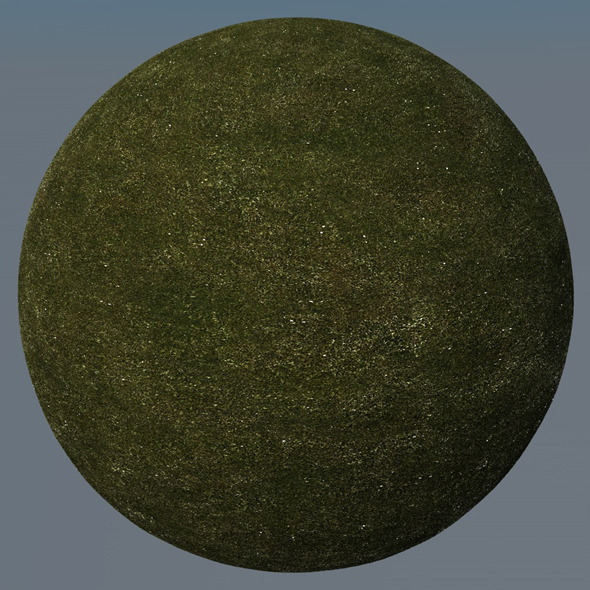 3DOcean Grass Landscape Shader 016 8779889 3DOcean Grass Landscape Shader 016 8779889