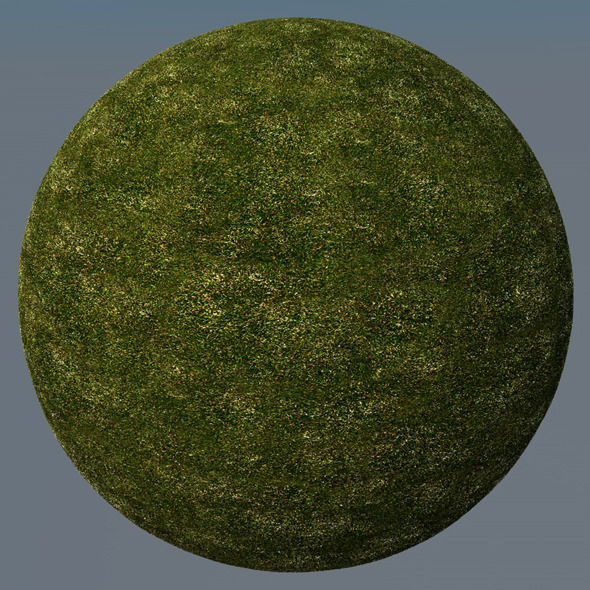 3DOcean Grass Landscape Shader 019 8781028 3DOcean Grass Landscape Shader 019 8781028
