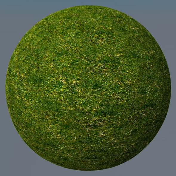 3DOcean Grass Landscape Shader 020 8781441 3DOcean Grass Landscape Shader 020 8781441
